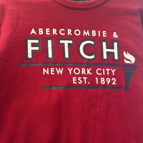 Abercrombie & Fitch Men's Red Crewneck Sweater - Picture 7 of 7